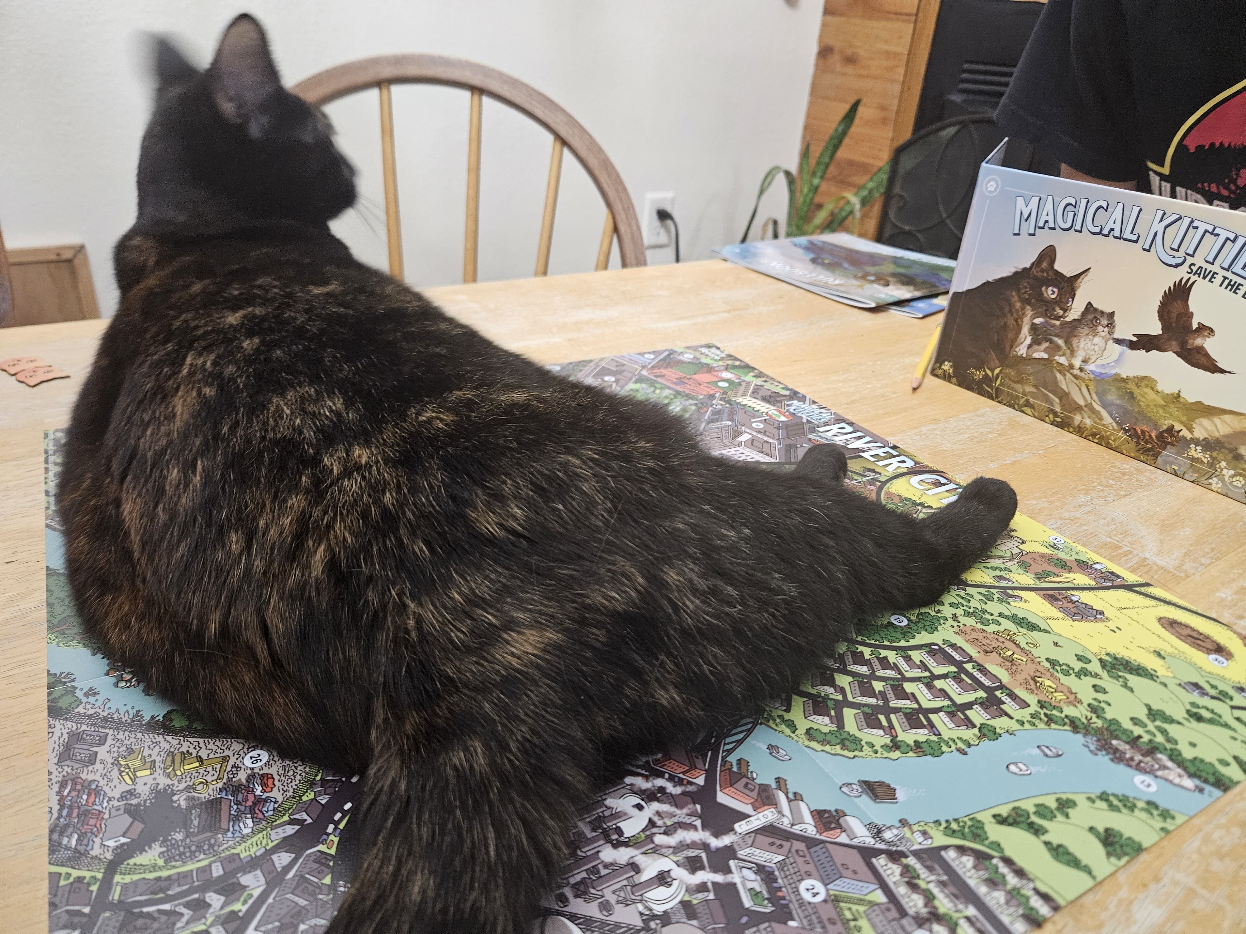 River City Map is Officially Kitty Approved!
