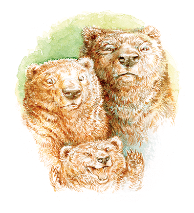 Three Bears Illustration for Fairytale Mash ups Web